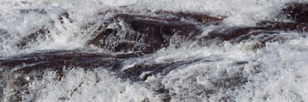 TheMuskokaLorax Profile Banner