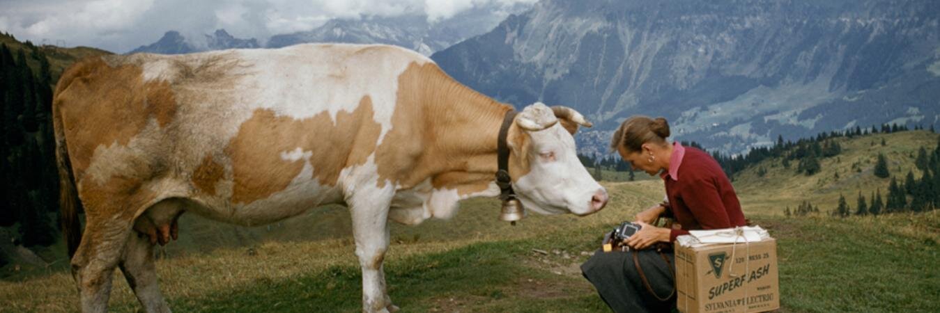 thisresa's profile banner image