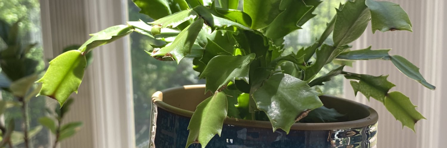 PhilipMichael's profile banner image