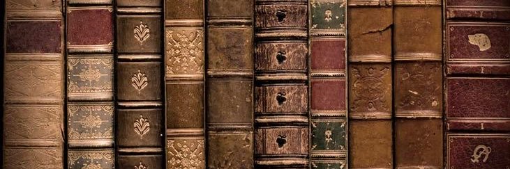 lottievans's profile banner image