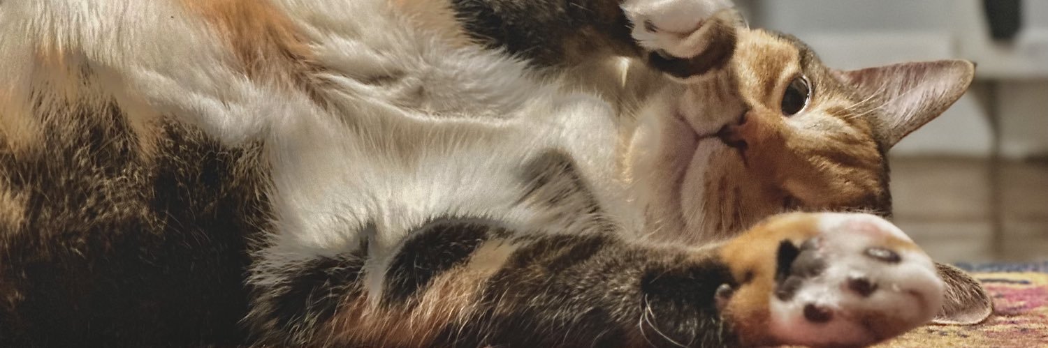 baileyepierce's profile banner image