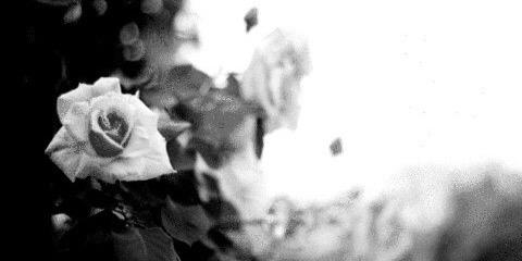 Y_ery__'s profile banner image