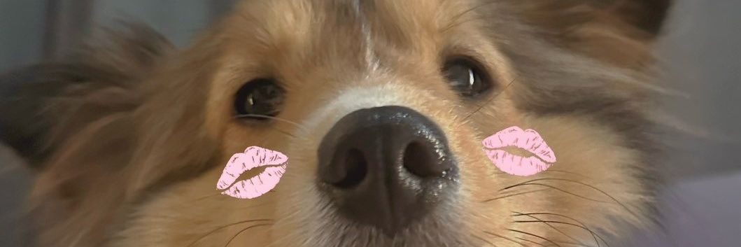 ssakaww's profile banner image