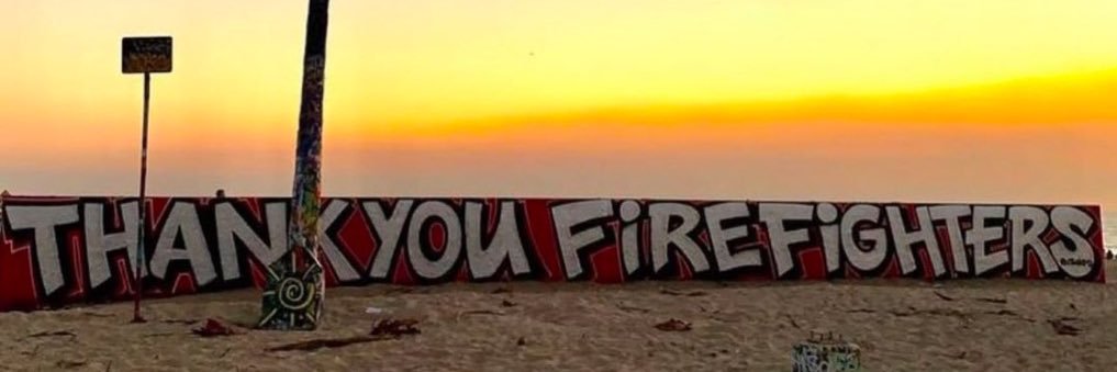 Dr Joan Fallon banner
