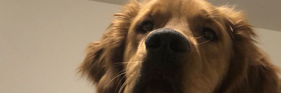 KaneSVT_'s profile banner image