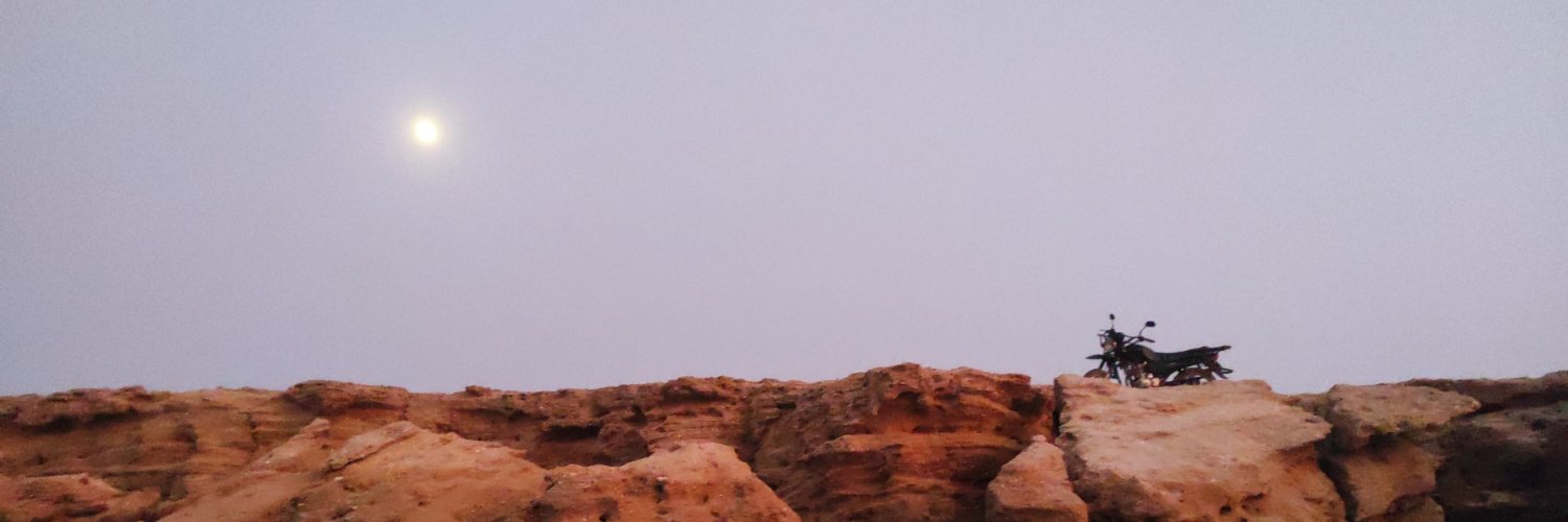 sarasagaii's profile banner image