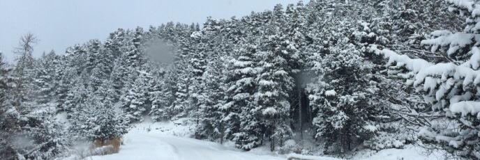 L. Sáez De Jáuregui banner