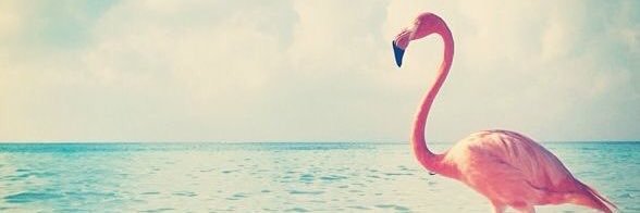_KimberleyAnne's profile banner image