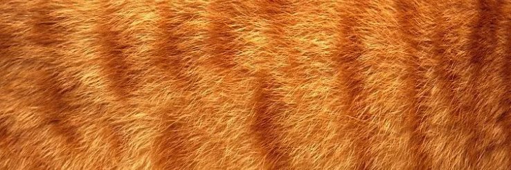 redcatred's profile banner image