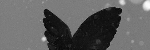 LSpace10's profile banner image
