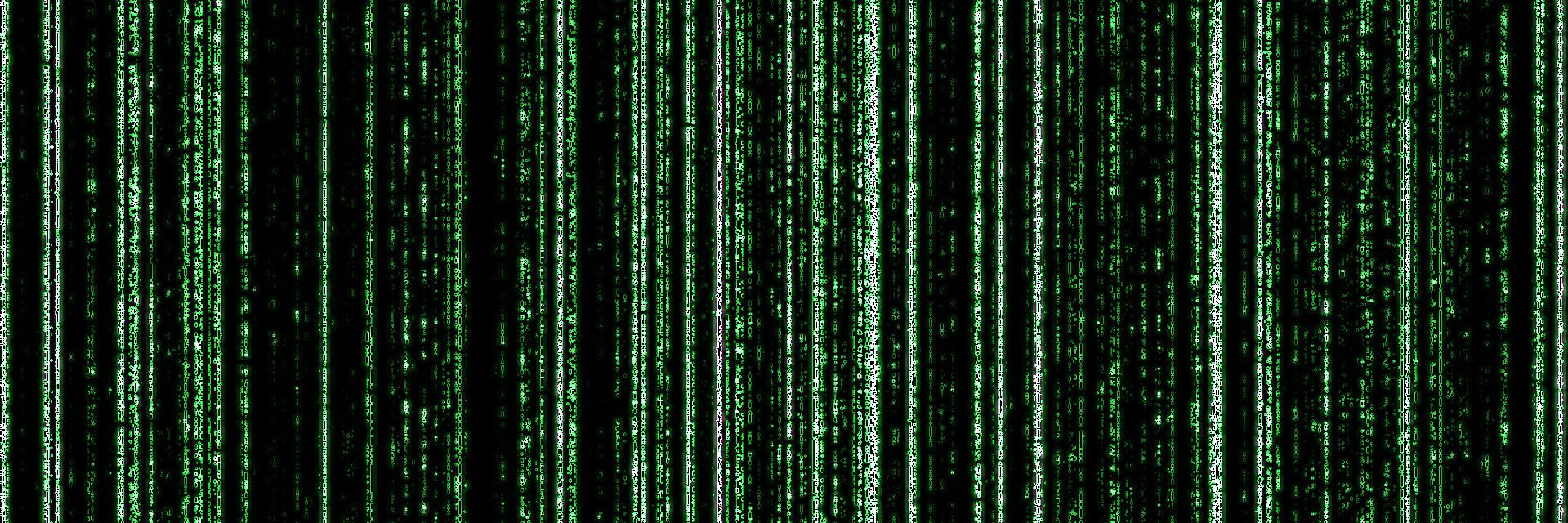 Feral Coder banner