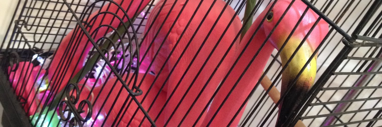 Baronhasselhoff's profile banner image