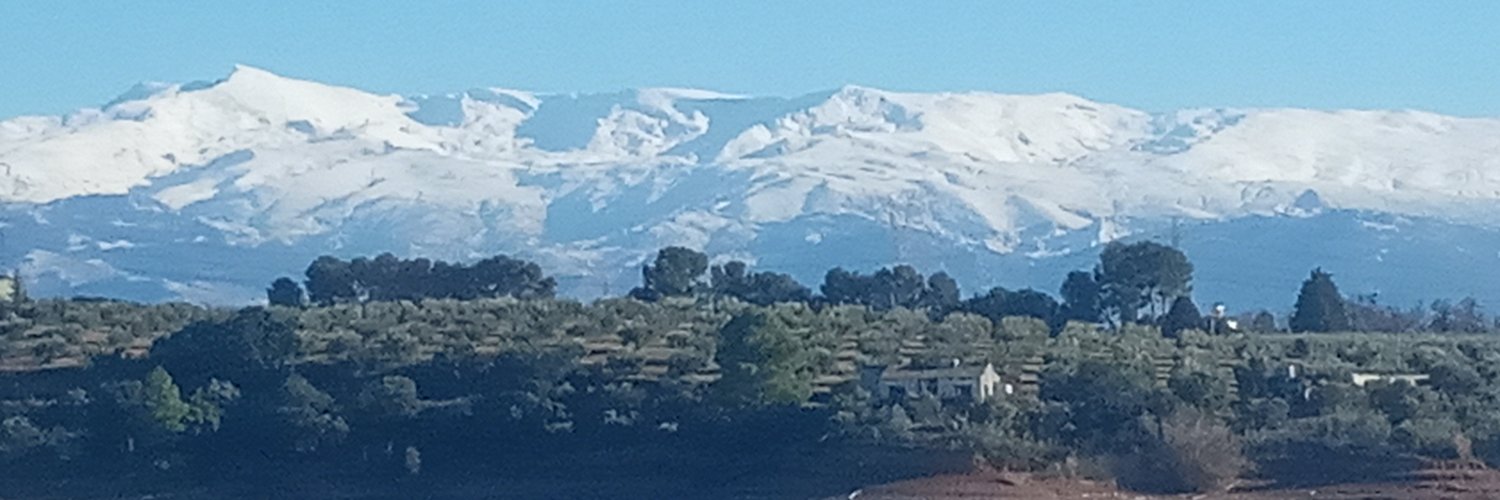 Evelio David Damas Bueno banner