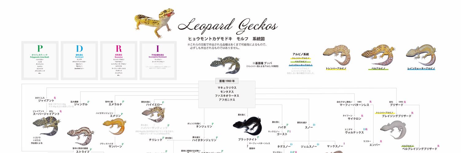 khux_roki's profile banner image