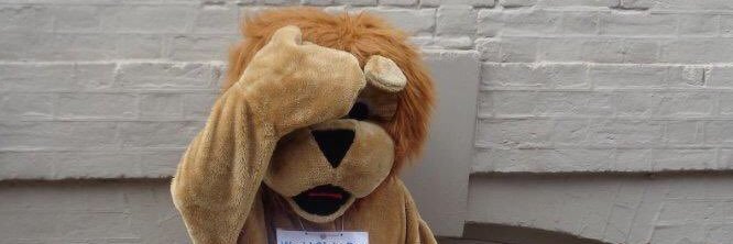 basingstokelion's profile banner image