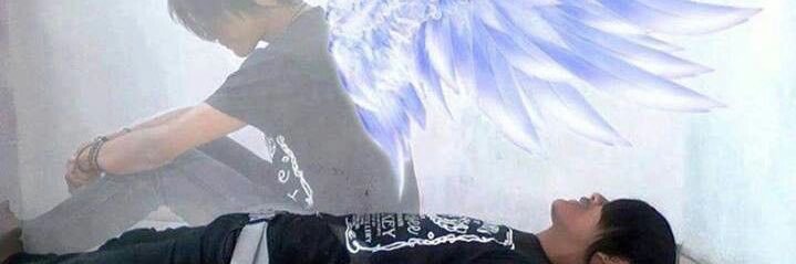 josh banner