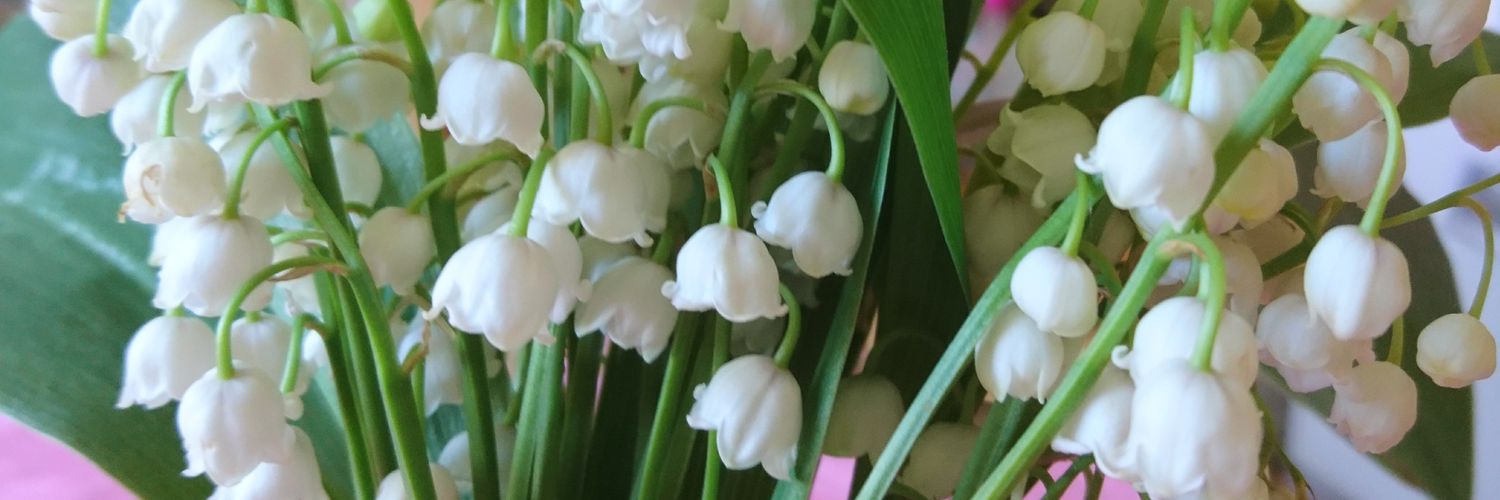 frusellberg's profile banner image