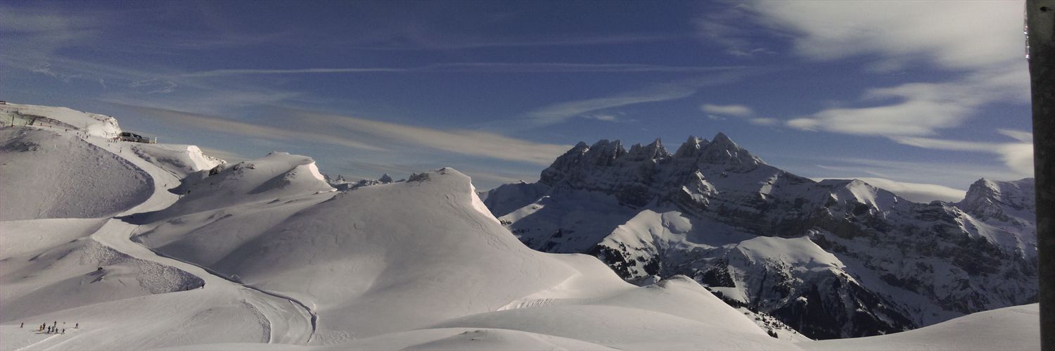 Lynsey Douglas banner