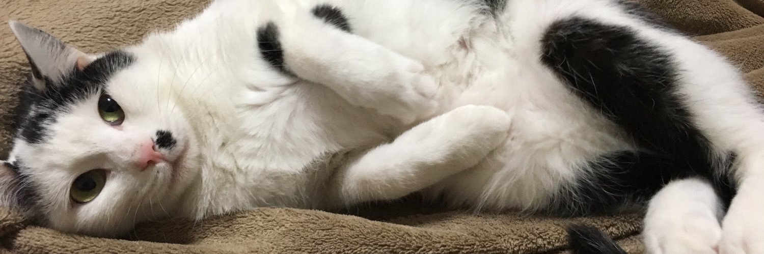 clocat323's profile banner image