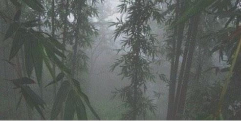 jackgilonsky's profile banner image