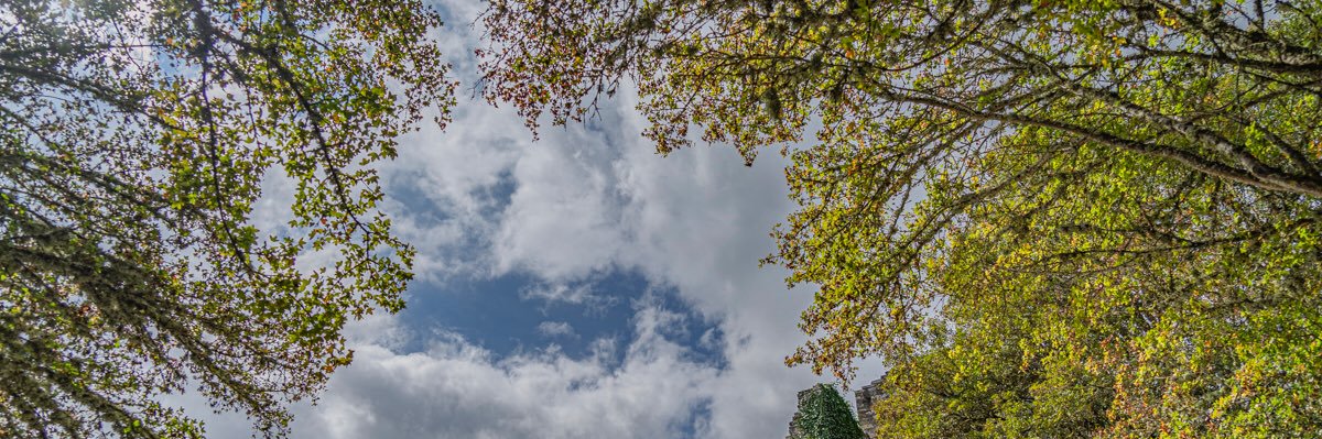 SofiCasCar's profile banner image