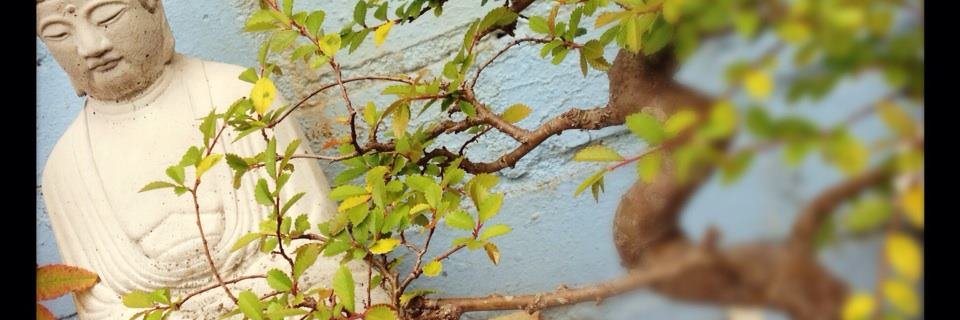 Elizabeth Samways - (ElizabethSam46) banner