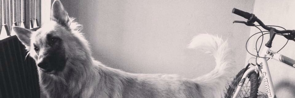 gilsonmorais1's profile banner image
