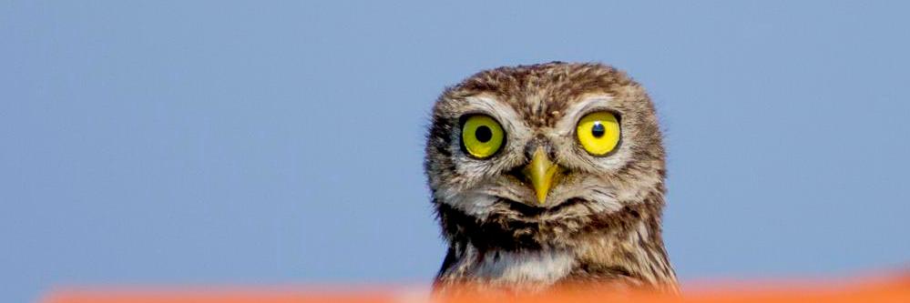 DocNatureBlog's profile banner image