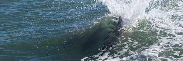 NicoleRETodd Profile Banner