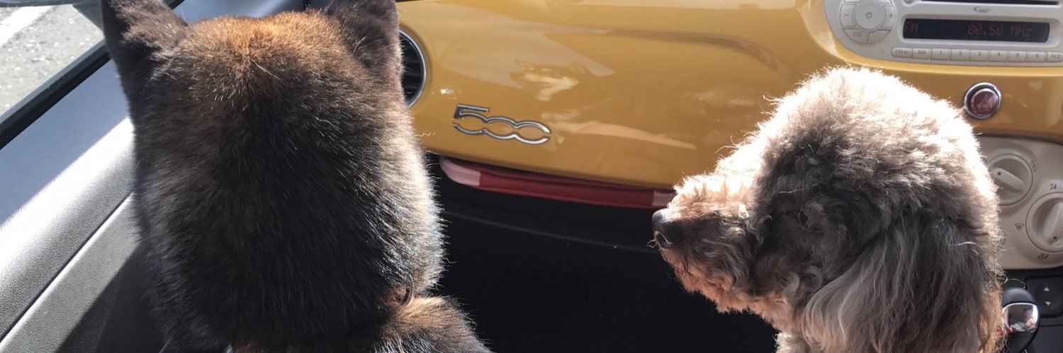 nu___O's profile banner image