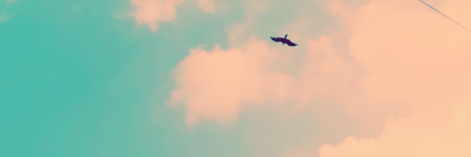 Rashi Shrivastava banner