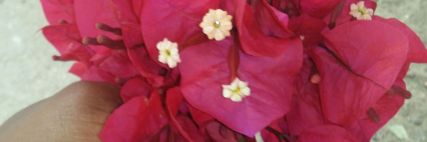 MayllaPires's profile banner image