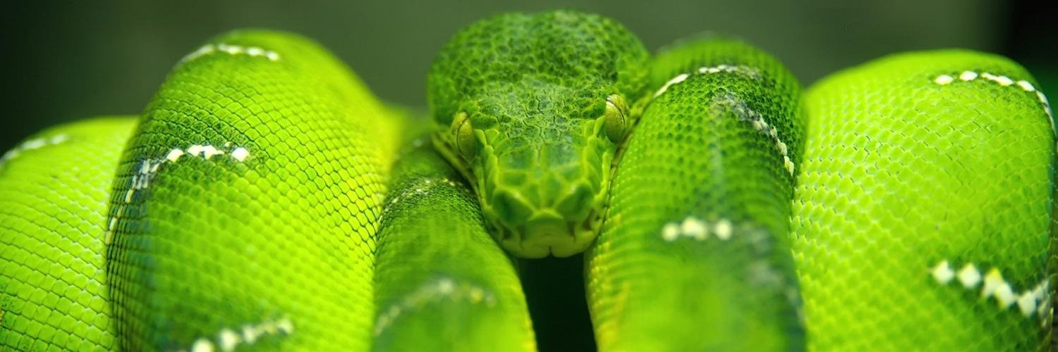 PythonArsenal banner