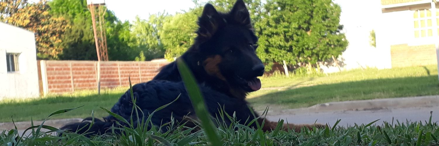 ItatiAcosta4's profile banner image