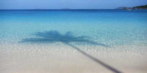 News of St. John banner