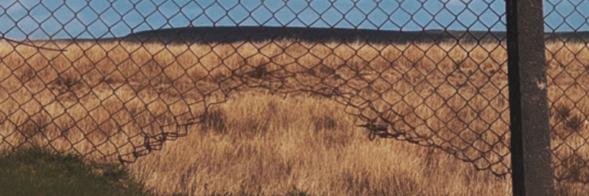 sareotonin's profile banner image