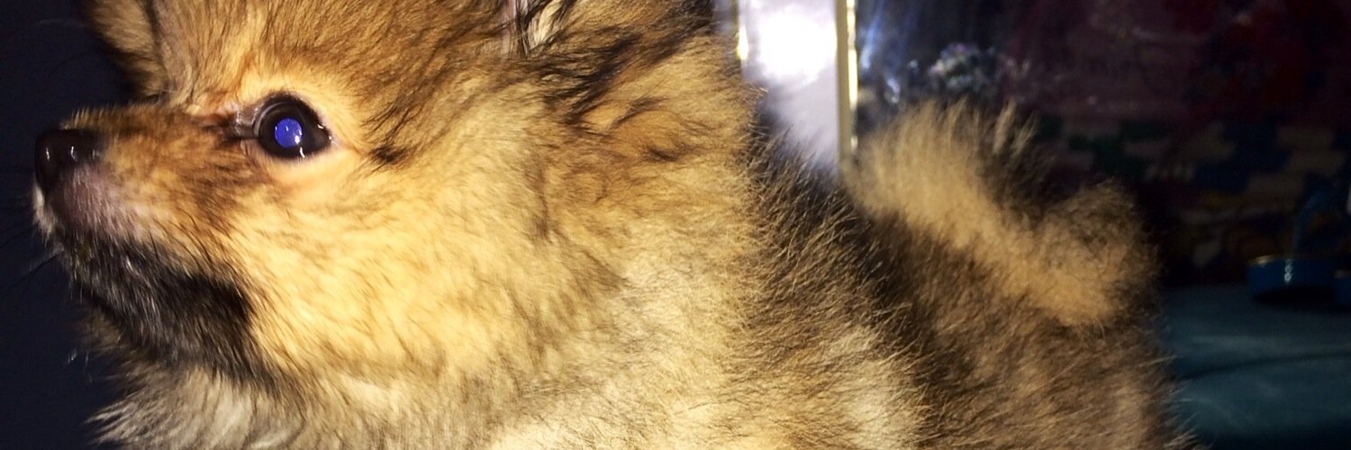 HelloCoco_'s profile banner image