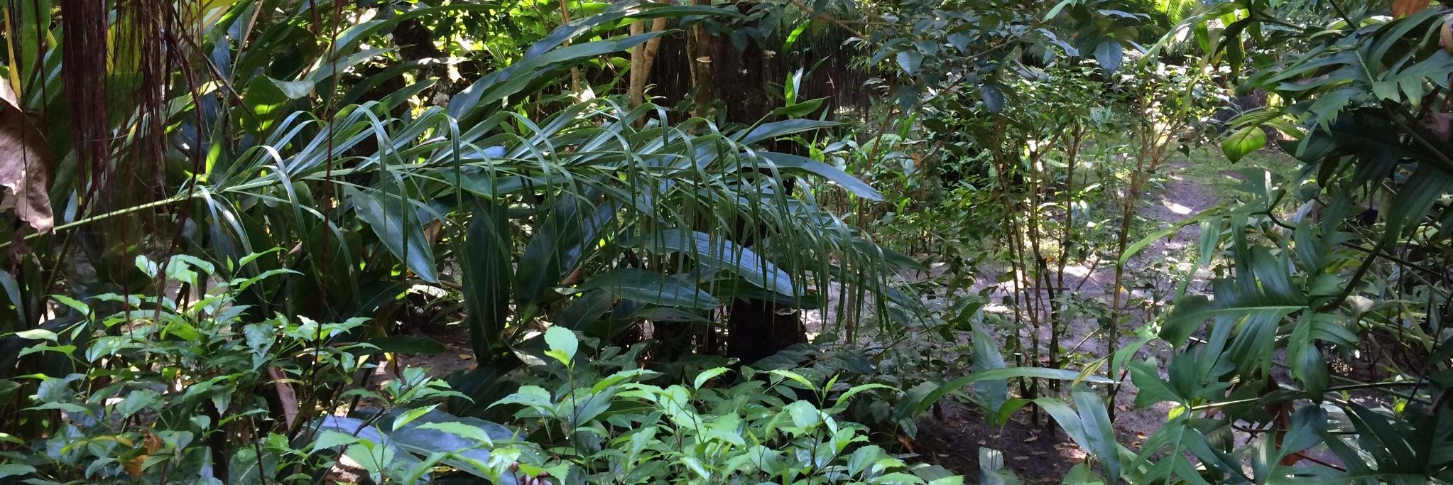 Laurent Depond banner