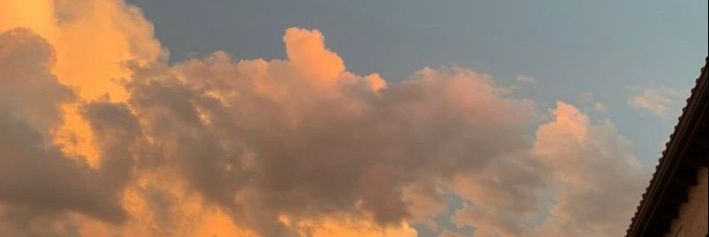 RodinaAnastasi's profile banner image