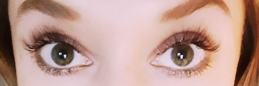 Shellbear7's profile banner image