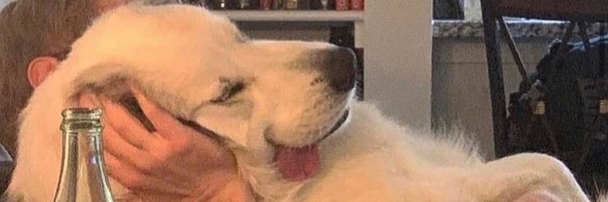 kirv3e's profile banner image