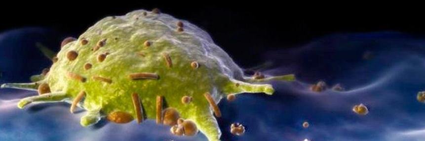 FilipeNunoLopes's profile banner image