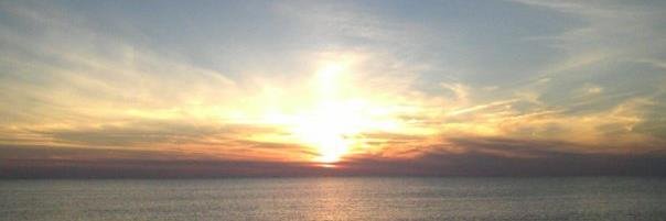 ISF_Coexist's profile banner image
