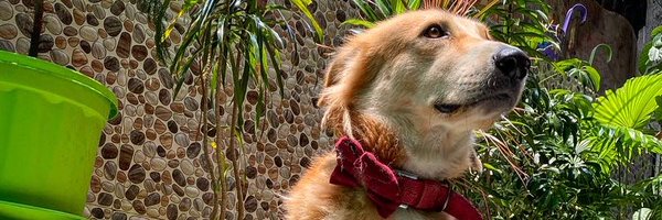 Lakshay_N Profile Banner