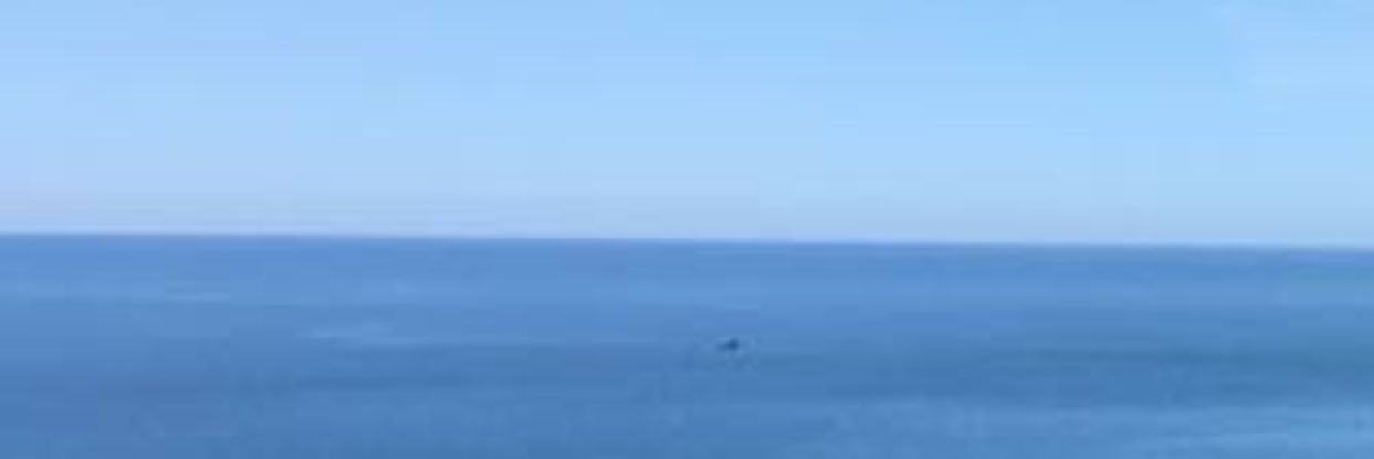 MoodieDane's profile banner image