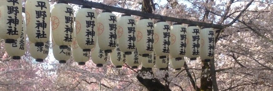 宮野 恵_kei banner