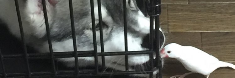 Uco753's profile banner image