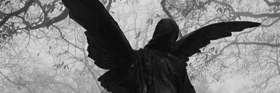 qwilexs. banner