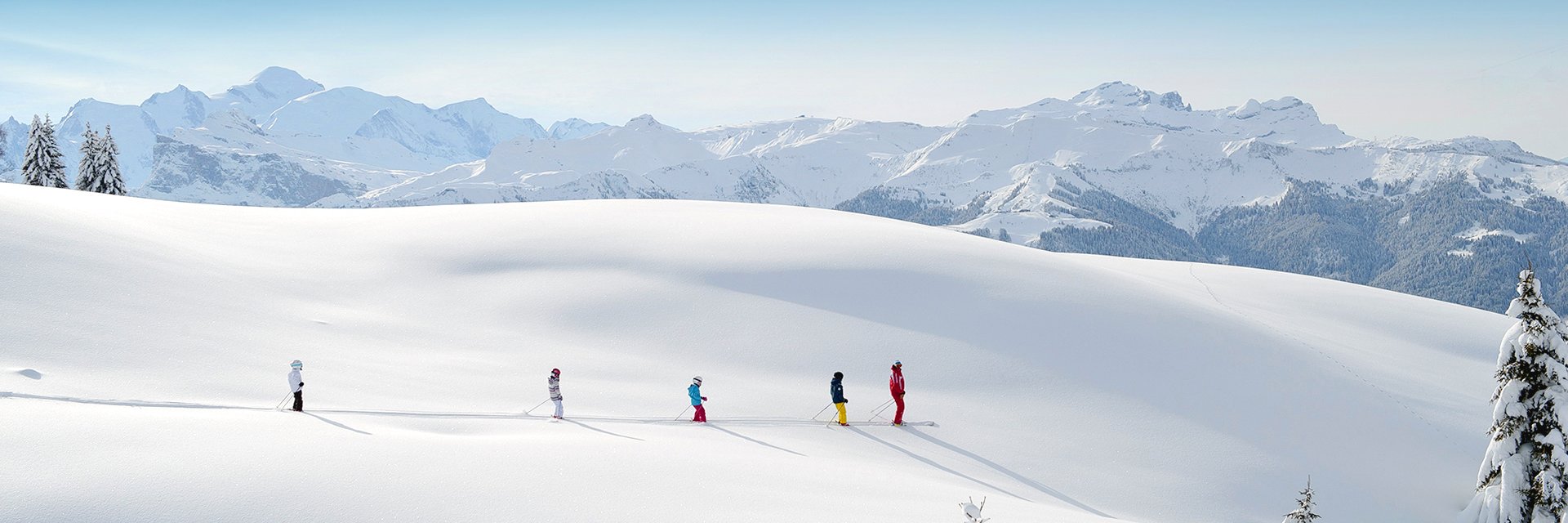 easyBusFrance banner