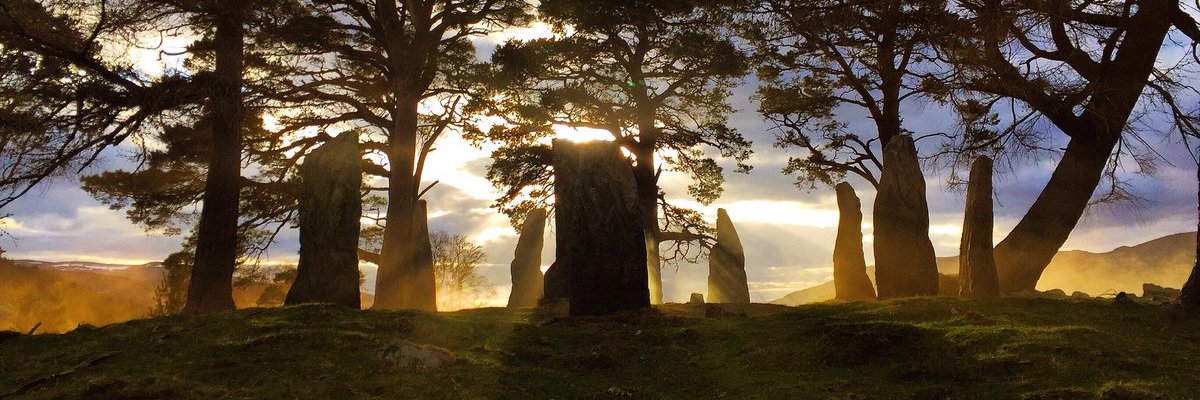 LadyDy61's profile banner image